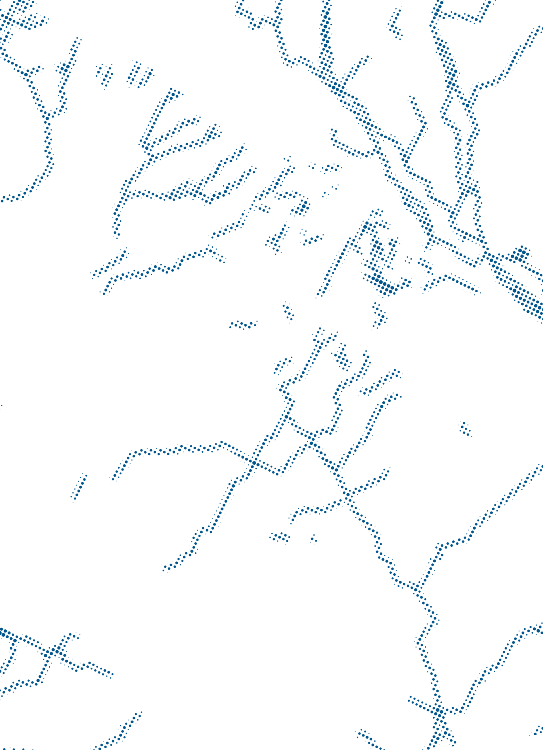 Muschelblume und Blei