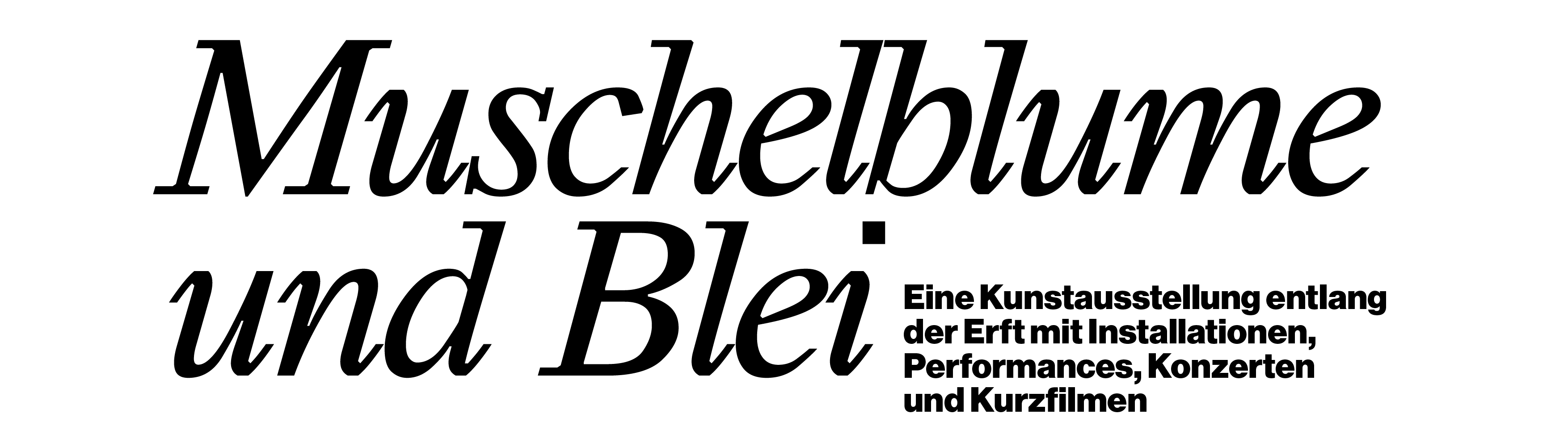 Muschelblume und Blei